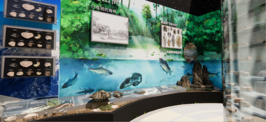青藏高原綜合科學考察與研究古生物展廳 在拉薩之巔，探尋生命演化的史詩