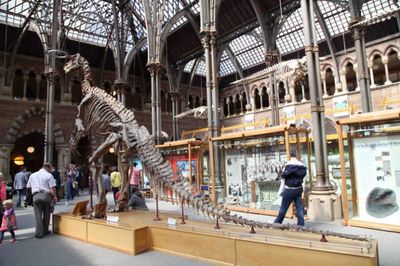 吳國盛視角下的牛津大學(xué)自然博物館 作為自然科學(xué)研究中心的歷史與啟示